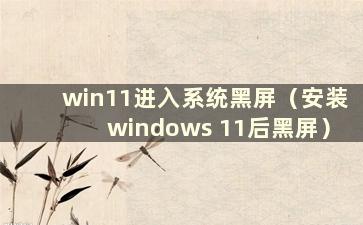 win11进入系统黑屏（安装windows 11后黑屏）